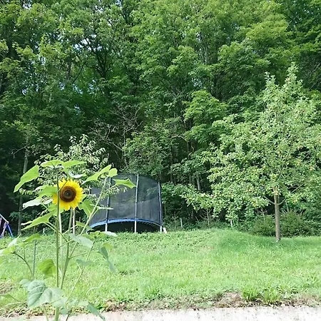 Huebsche Im Herzen Des Schwarzwalds Апартаменты *