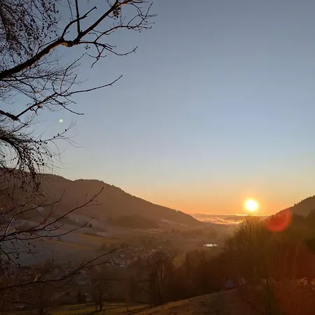 Апартаменты Huebsche Im Herzen Des Schwarzwalds