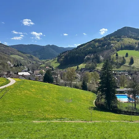 Huebsche Im Herzen Des Schwarzwalds Appartement *